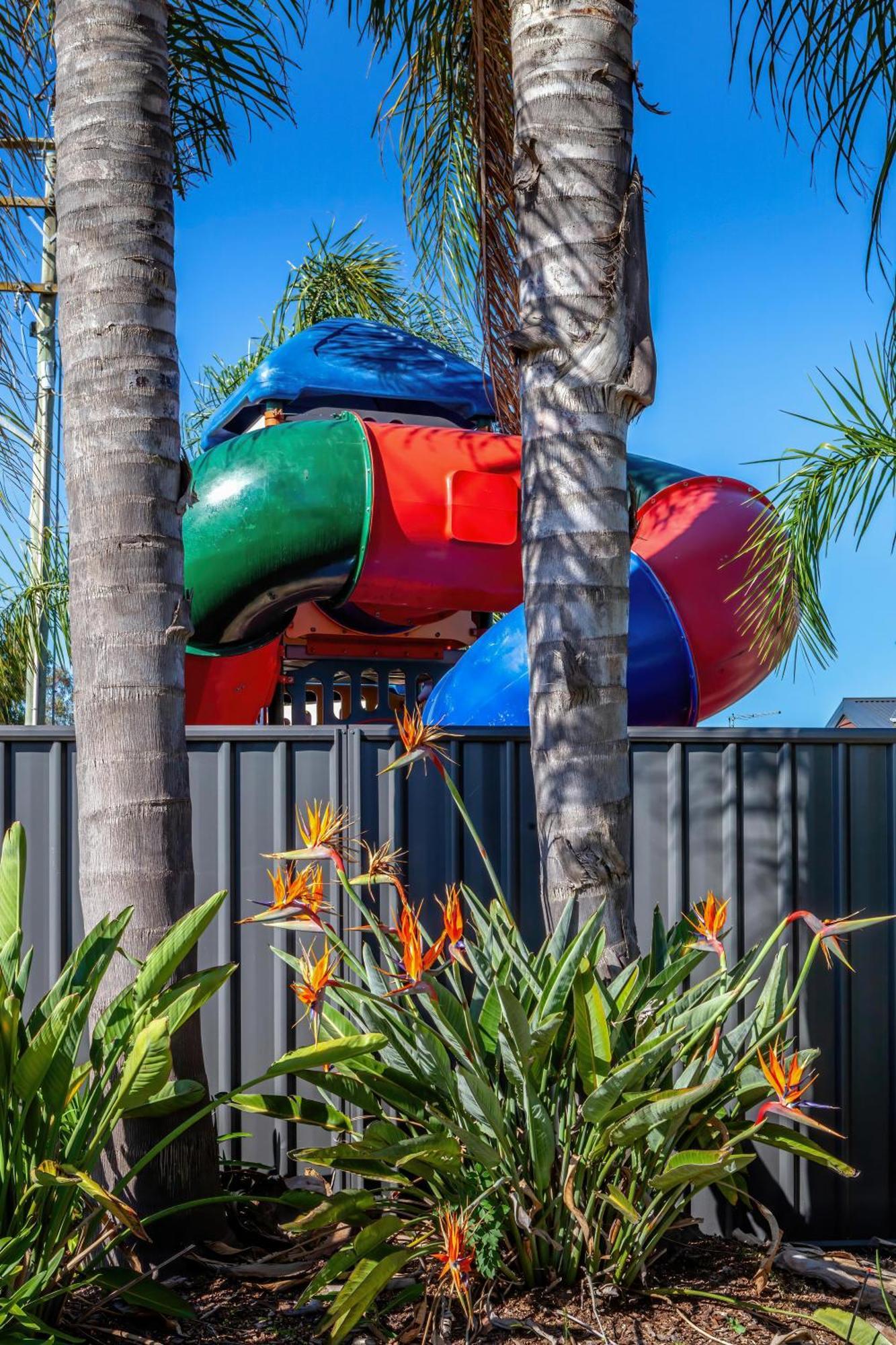 מלון Big4 Albury Tourist Park מראה חיצוני תמונה